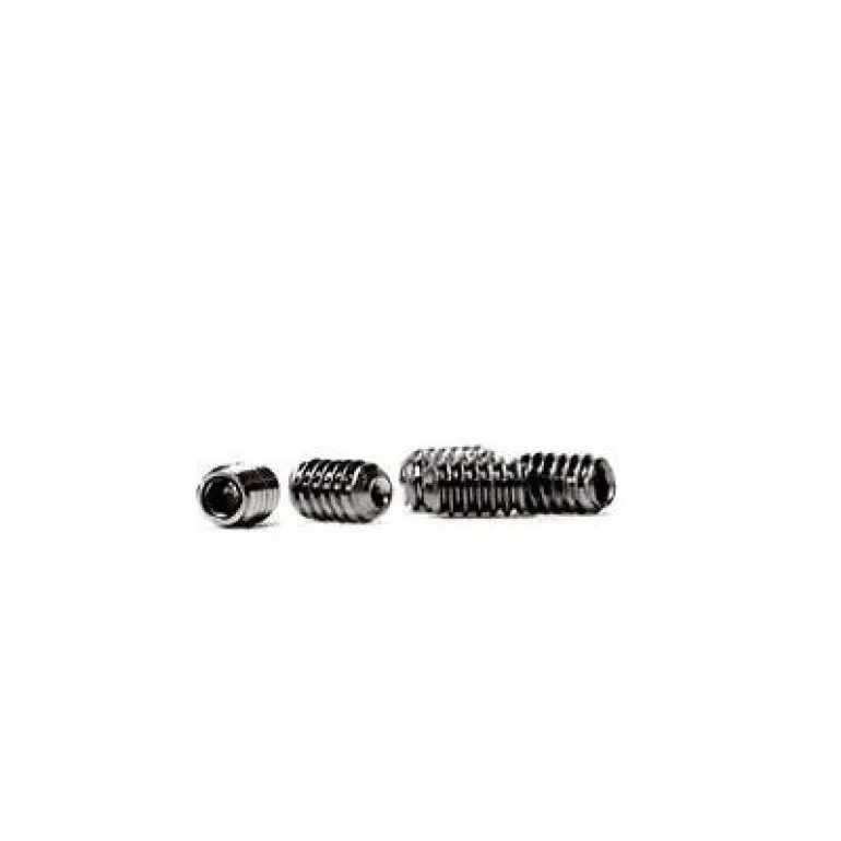 Future Replacement Key and Screws